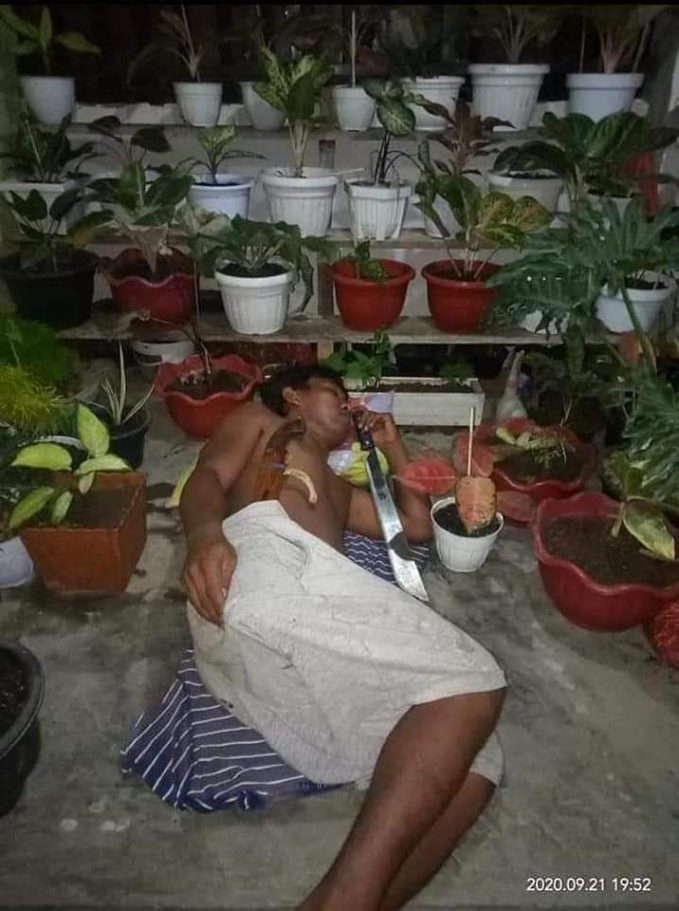 Tingkah Absurd Penghobi Tanaman